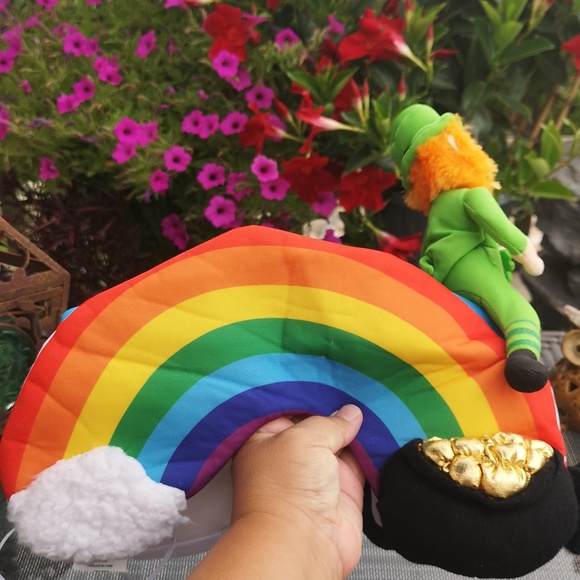 Halloween Small Dog Costume Leprechaun Riding A Rainbow π FUN See Measurements - Picture 4 of 15